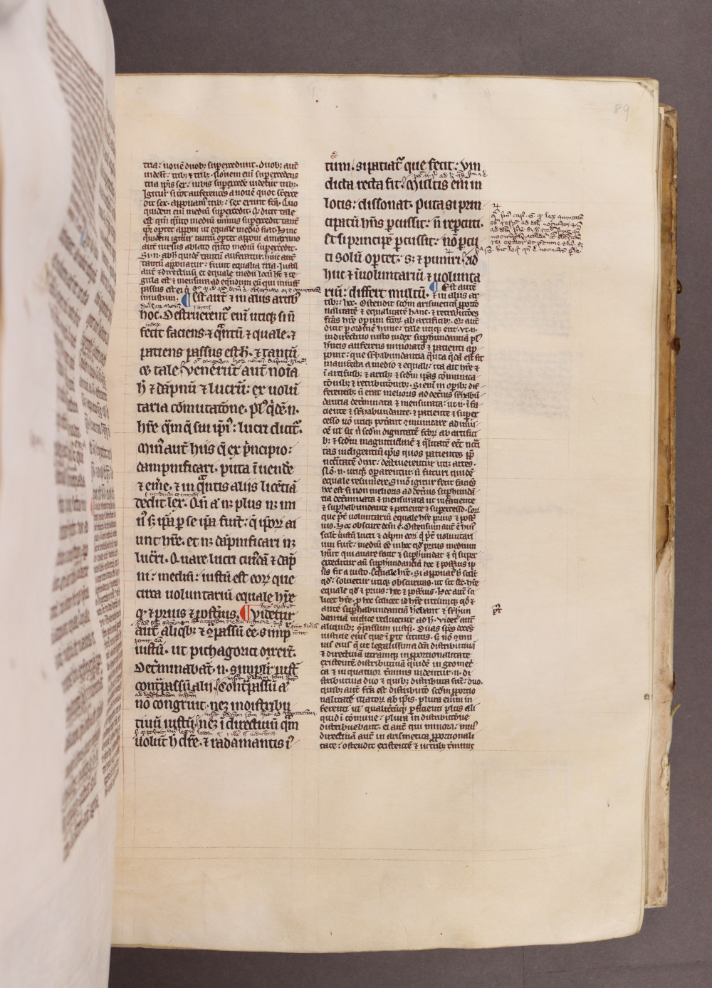 Folio 89 recto